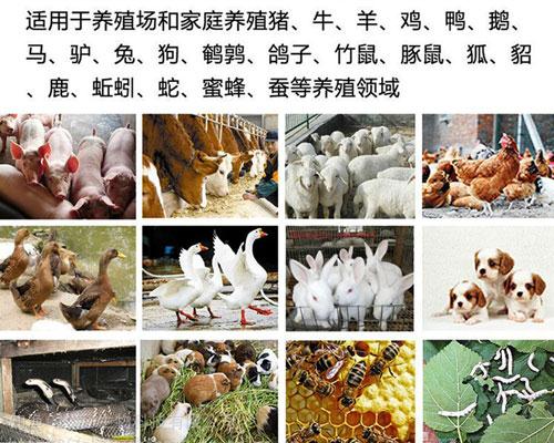 综合养殖1-3 (1).jpg