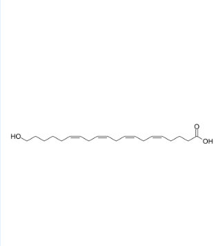 79551-86-3 20-羟基二十碳-5Z,8Z,11Z,14Z-四烯酸