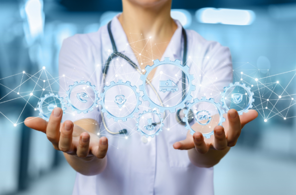 小鼠心脏缺血再灌注损伤模型