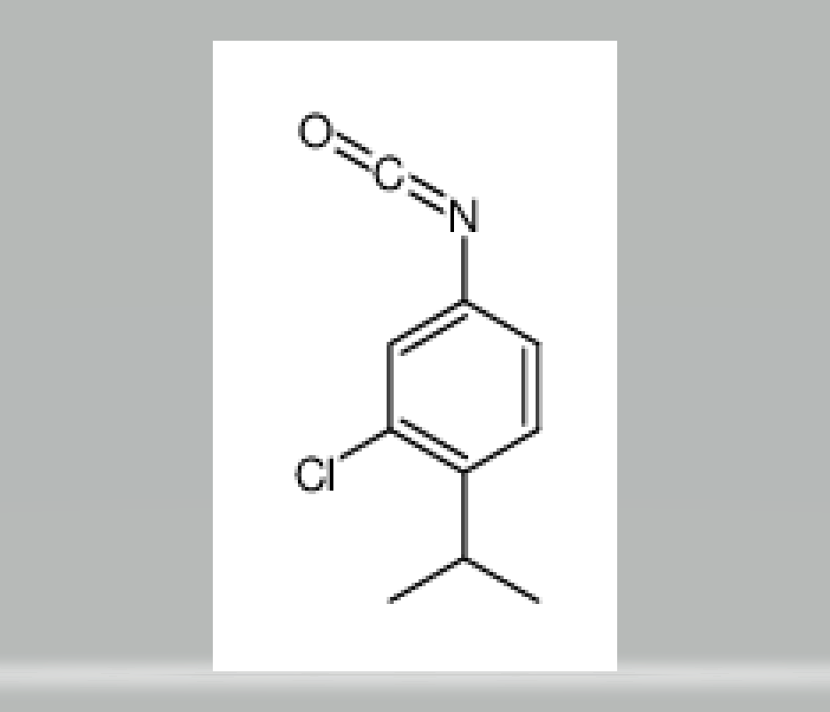 34123-50-7 2-chloro-4-isocyanato-1-(1-methylethyl)benzene
