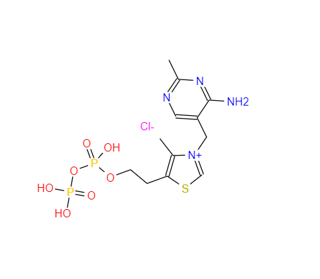 焦磷酸硫胺素氯化物
