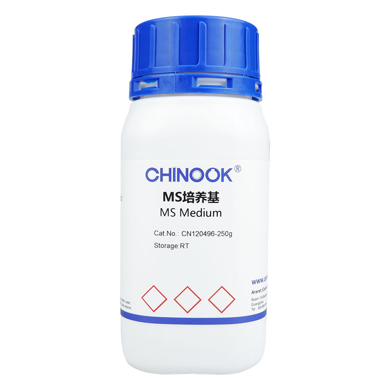 MS培养基 植物组织培养-CN120496