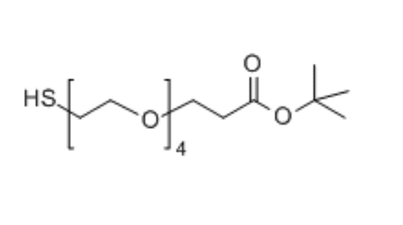 SH-PEG4-CH2CH2COOtBu 564476-33-1