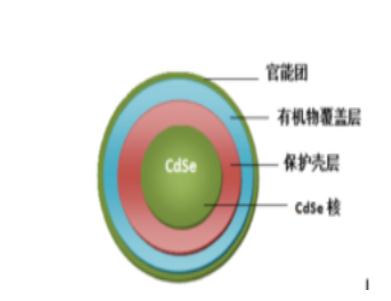 QQ截图20221014095821.png
