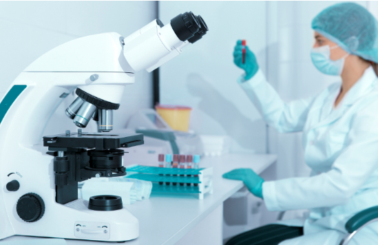 软骨损伤动物模型