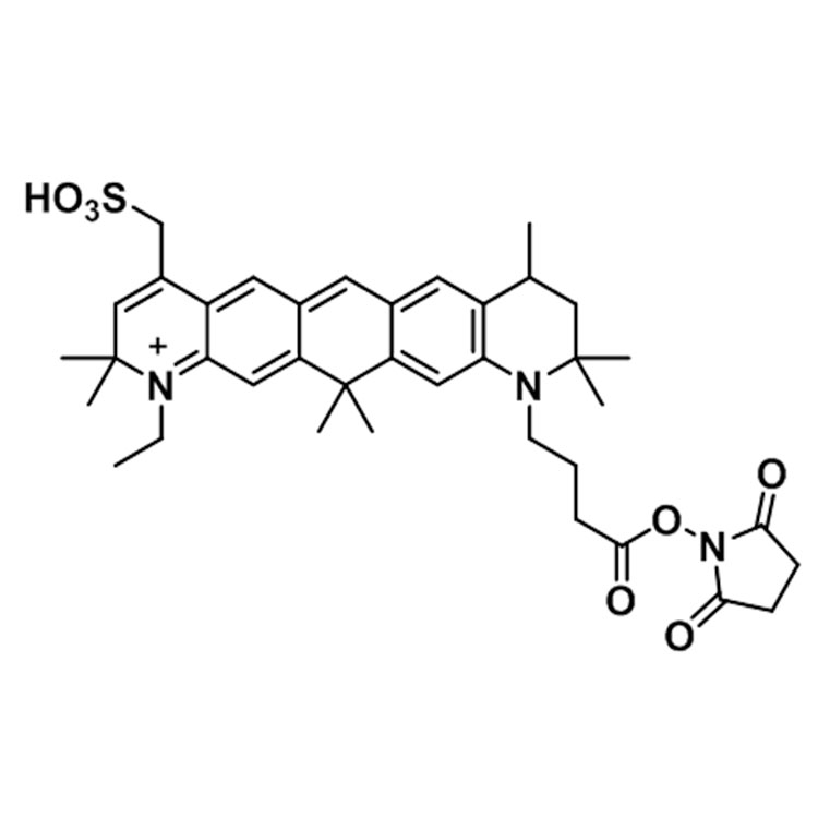 AT 647琥珀酰亚胺酯