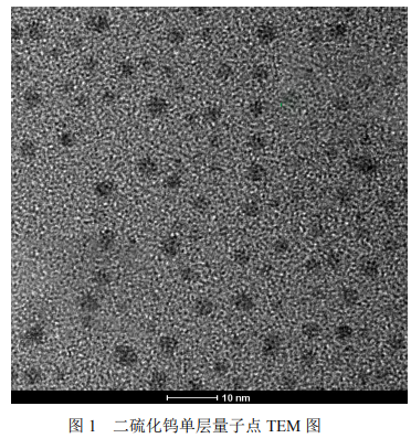 二硫化钨单层量子点溶液