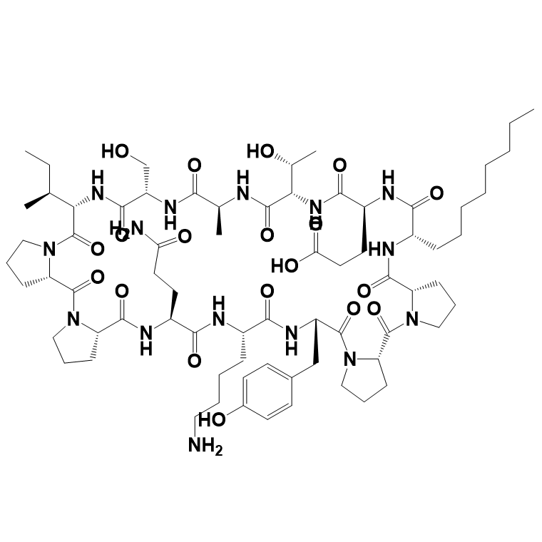 环状抑制剂多肽