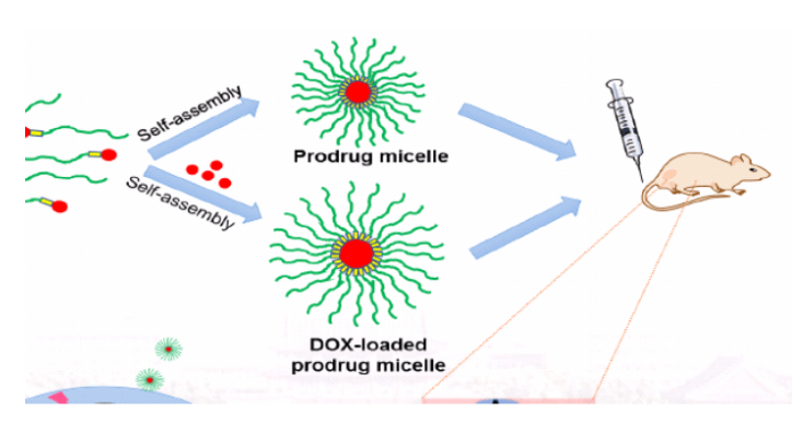 聚乙二醇-酮硫醇-聚丙交酯乙交酯共聚物