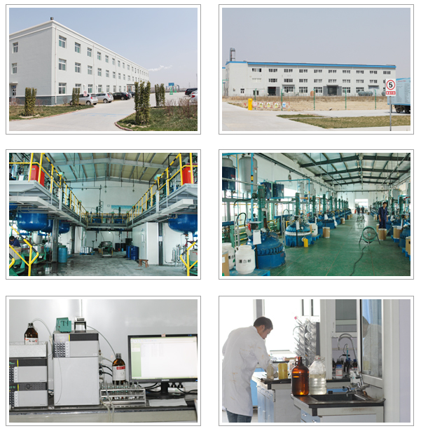 视黄醇厂家专业供应