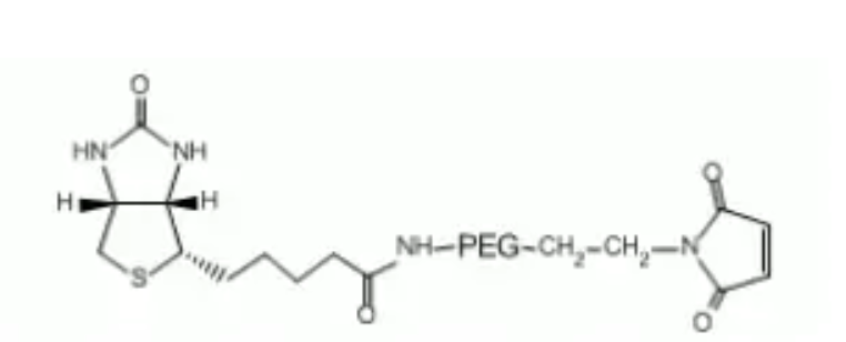 生物素-聚乙二醇-马来酰亚胺