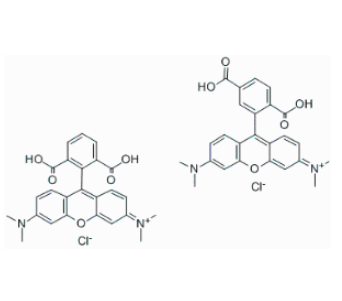 马来酰亚胺聚乙二醇活化脂