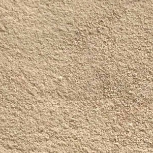 酵母提取物 8013-01-2