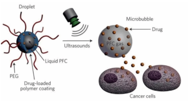 DSPE-PEG2000-二型胶原肽（WYRGRL）DSPE-PEG2000-WYRGRL