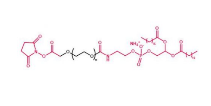 DSPE-PEG-NHS 磷脂聚乙二醇活性酯 NHS-PEG-DSPE