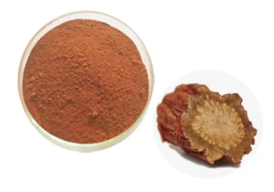 丹参提取物：50% 丹参酚酸B