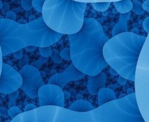 AM（人腺样囊性癌细胞(高转移)）