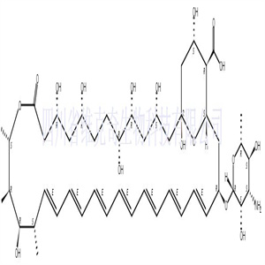 两性霉素B  CAS号：1397-89-3