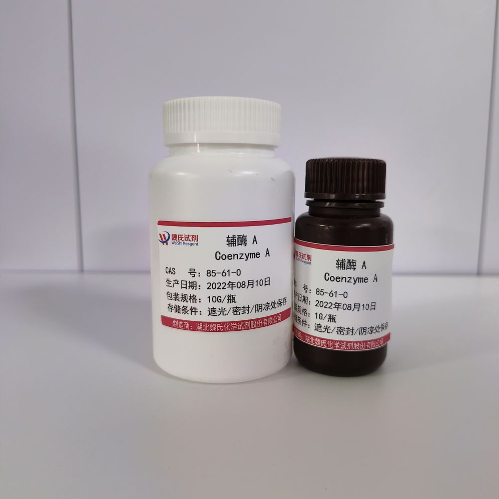 辅酶 A 85-61-0