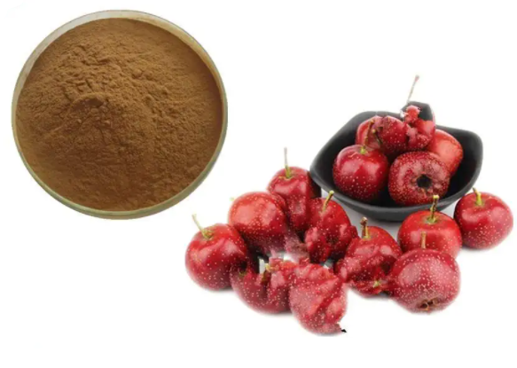 牡荆素鼠李糖甙2%-10%