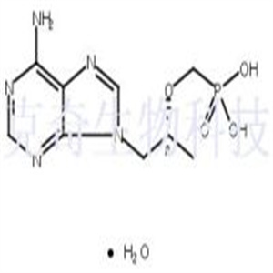 替诺福韦一水合物  CAS号：206184-49-8