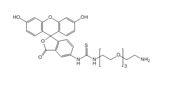 FITC-PEG3-COOH 荧光素-三聚乙二醇-丙酸