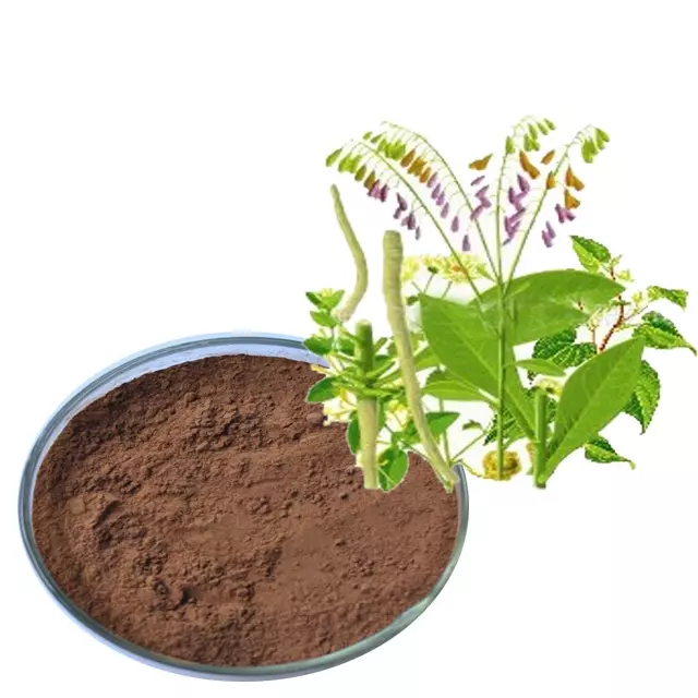 靛玉红Cheapest price indigowoad leaf extract