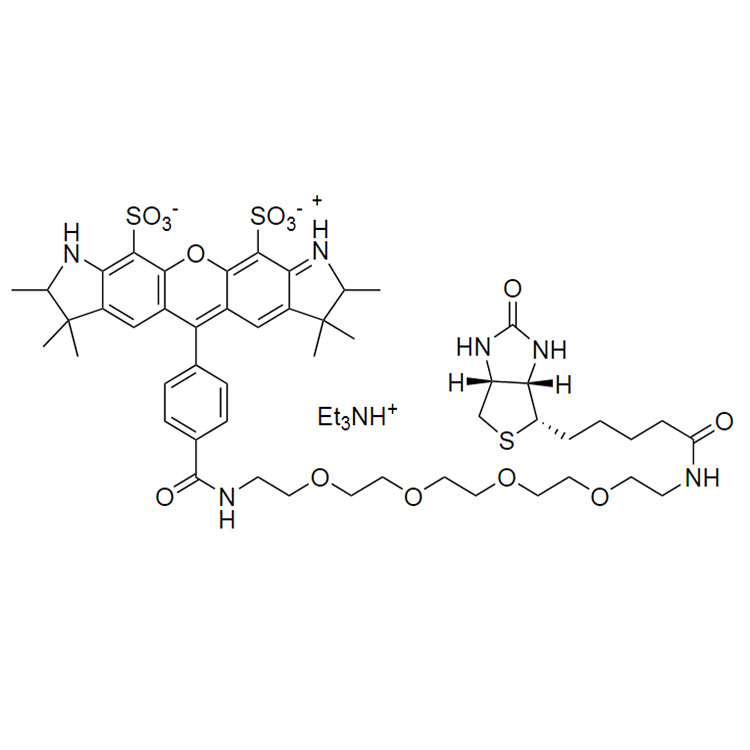 AF532 PEG4 biotin conjugate，AF532 四聚乙二醇 生物素偶联物