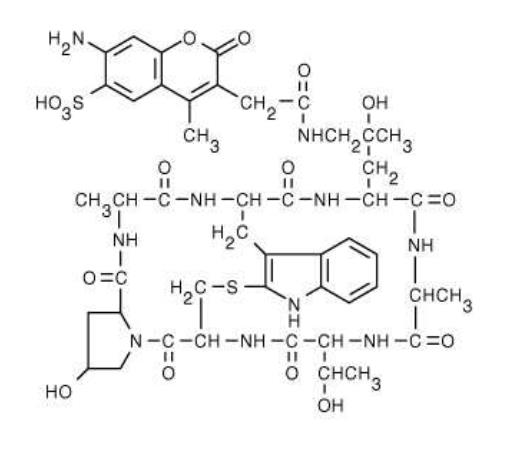 AF350 Phalloidin.png