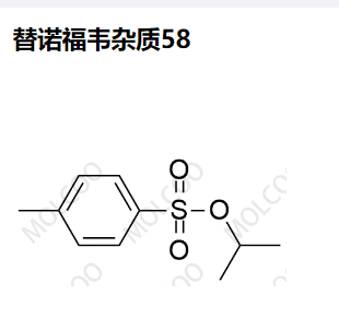 2307-69-9   替诺福韦杂质58