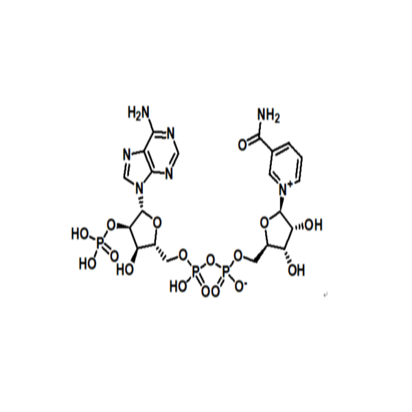 β-烟酰胺腺嘌呤二核苷酸磷酸