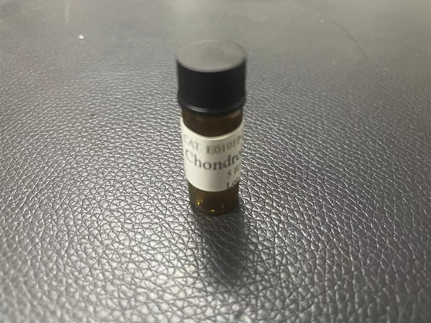 软骨素酶ABC；chondroitinase ABC