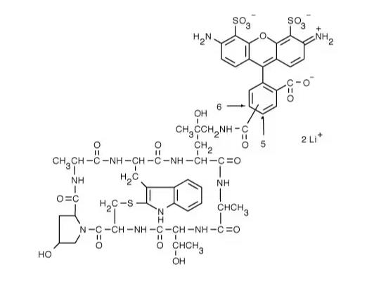 AF488 Phalloidin.png AF488 Phalloidin.png
