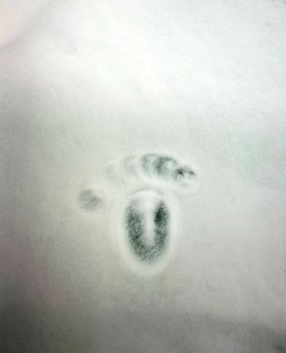 海粟 油污干洗剂喷雾剂专用硅添加剂 油污清除硅添加剂 油污硅添加剂