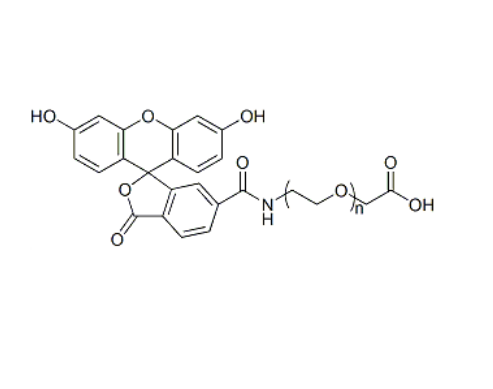 FITC-PEG-COOH 荧光素-聚乙二醇-羧基 FITC-PEG-AA
