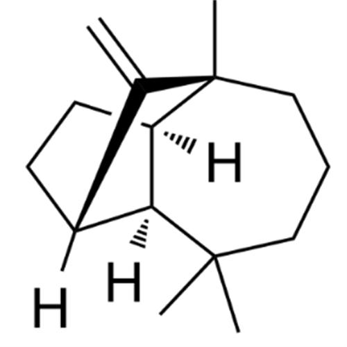 (+)-Longifolene.png (+)-Longifolene.png