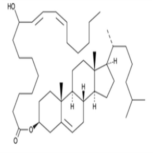 (±)9-HODE cholesteryl ester.png (±)9-HODE cholesteryl ester.png