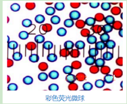 彩色乳胶微球 Color latex microsphere