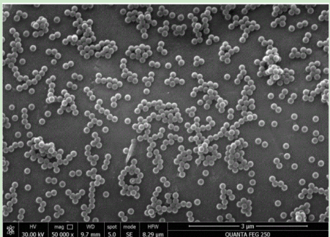 羧基修饰青色乳胶微球100nm