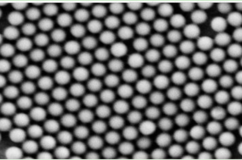 链霉亲和素修饰红色乳胶微400nm 