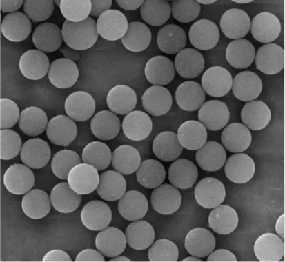磺酸基修饰绿色荧光聚苯乙烯微球 80nm