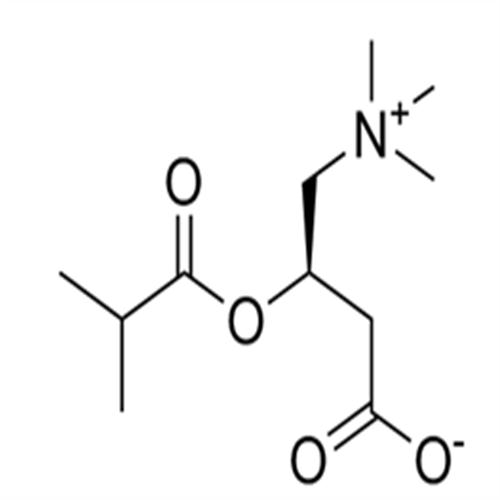 Isobutyryl-L-carnitine.png Isobutyryl-L-carnitine.png