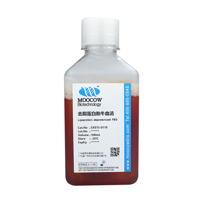 EXS15-0119-500ml.jpg EXS15-0119-500ml.jpg