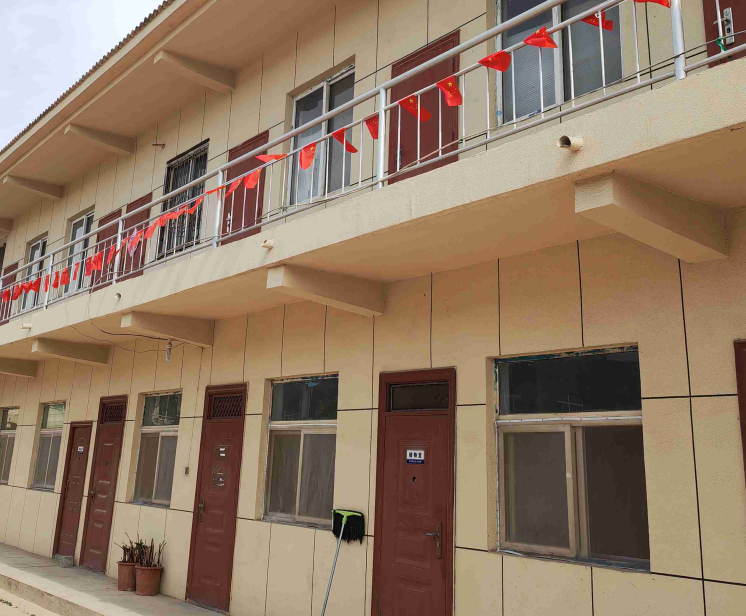 2,4-二硝基苯甲醛 528-75-6