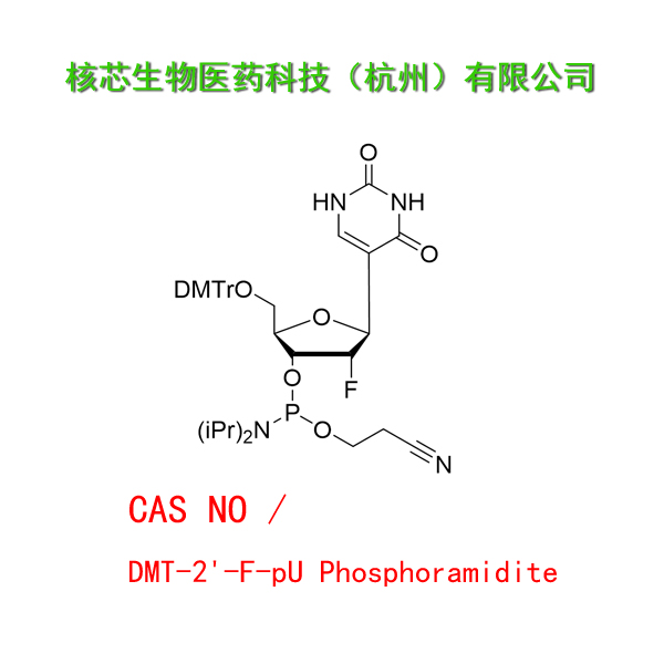DMT-2'-F-pU Phosphoramidite 工厂大货