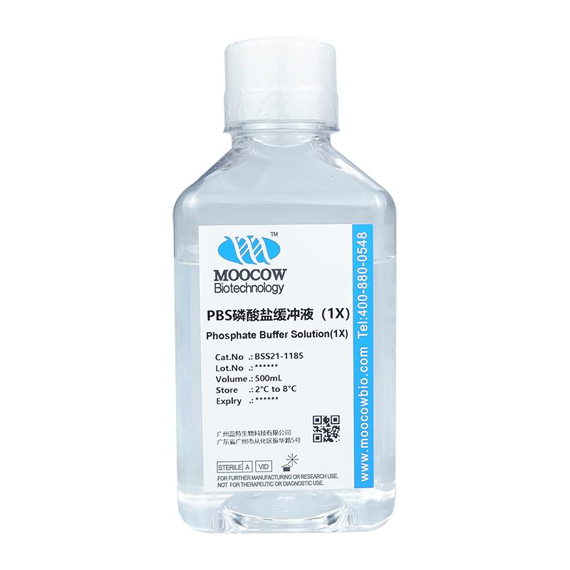 BSS21-1185-500ml.jpg BSS21-1185-500ml.jpg