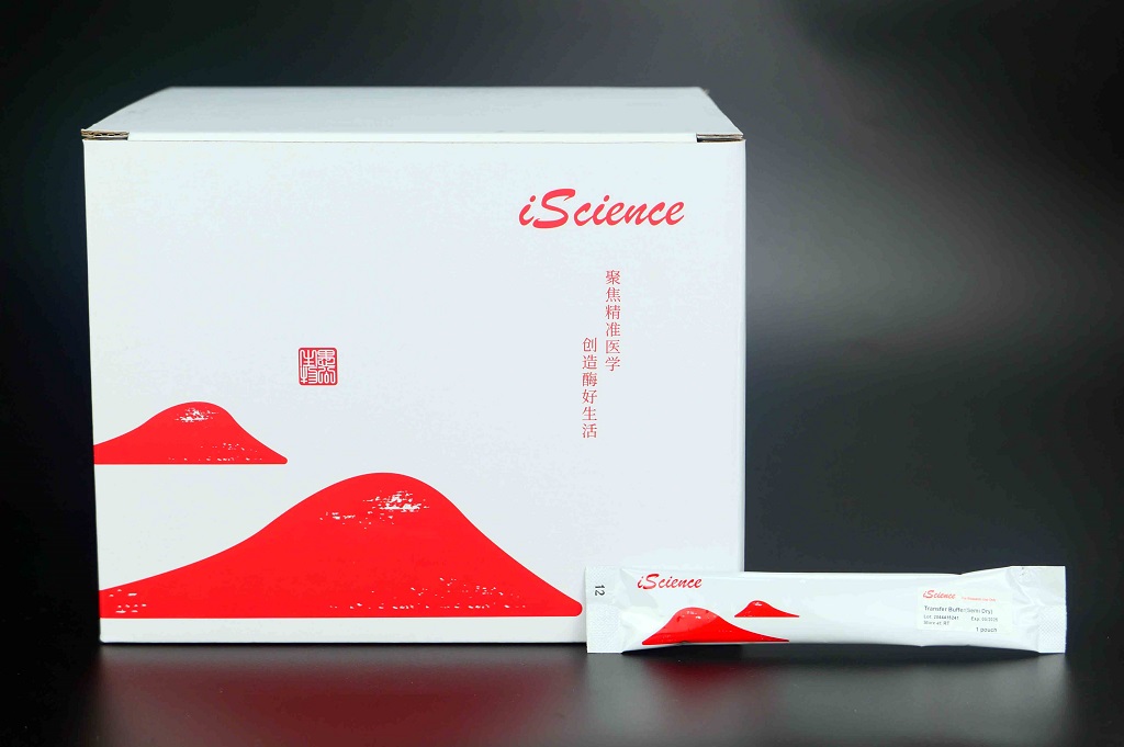 转膜缓冲液（半干法）