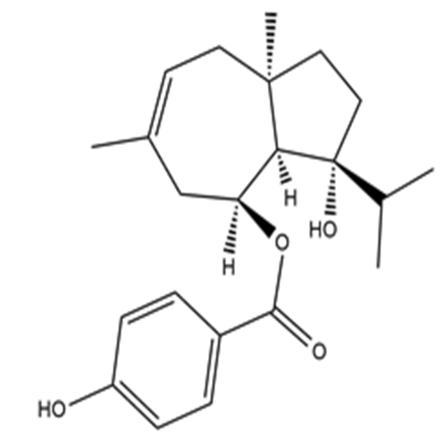 41743-44-6Ferutinin