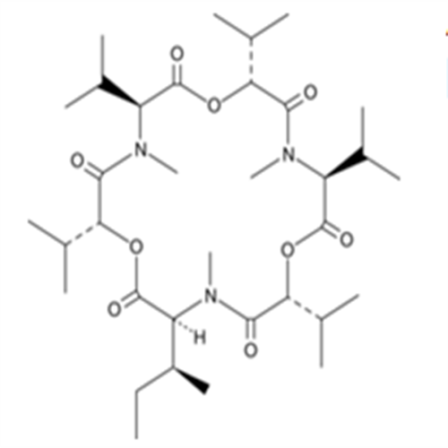 19914-20-6Enniatin B1