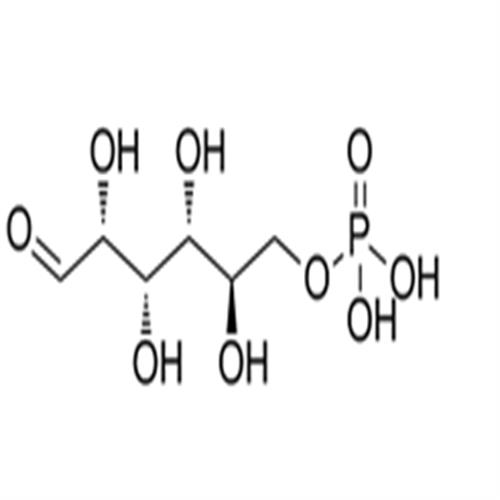 D-Glucose 6-Phosphate.png D-Glucose 6-Phosphate.png